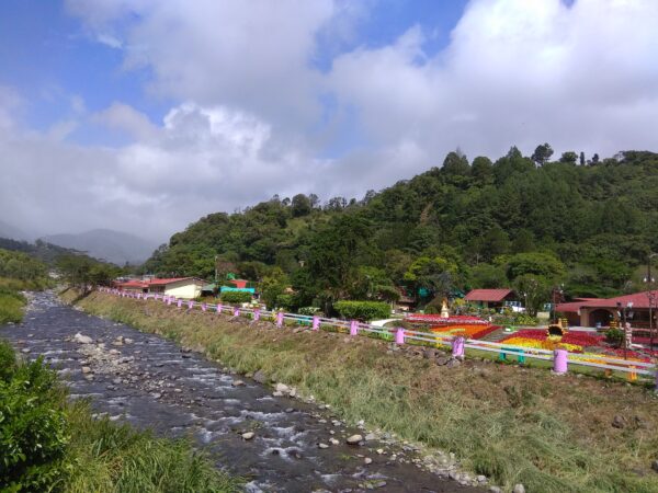Panama -  Boquete – Bild 3